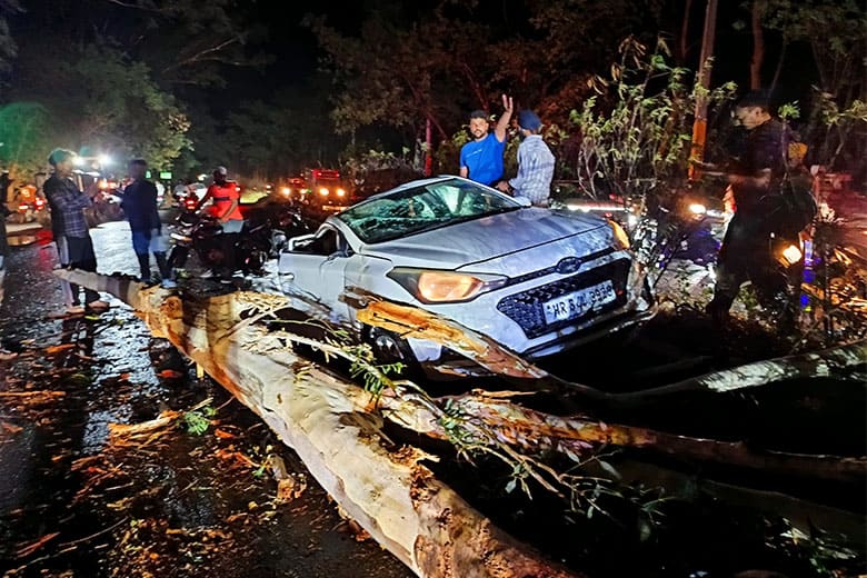 tree fell on a moving car due to a strong wind in the evening at ...